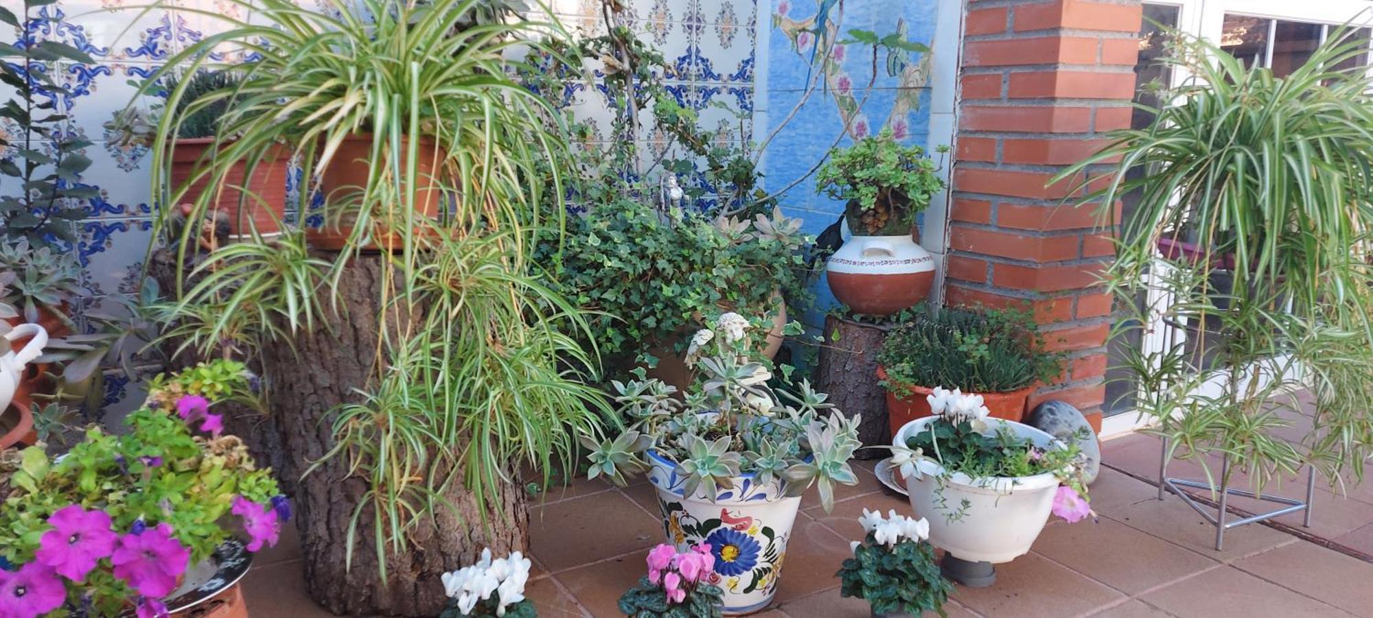 Habitacion,Piscina Y Jardin Azuqueca de Henares Kültér fotó