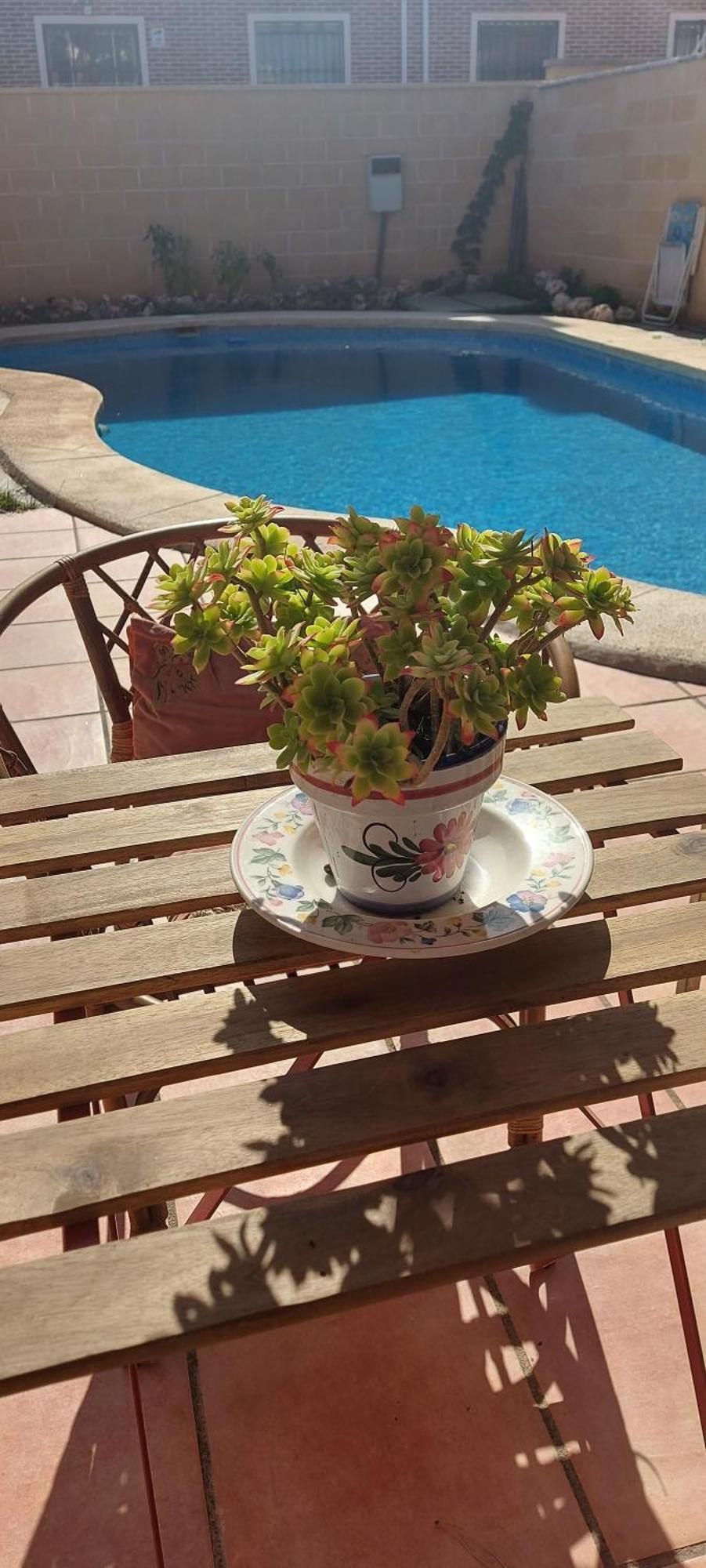Habitacion,Piscina Y Jardin Azuqueca de Henares Kültér fotó